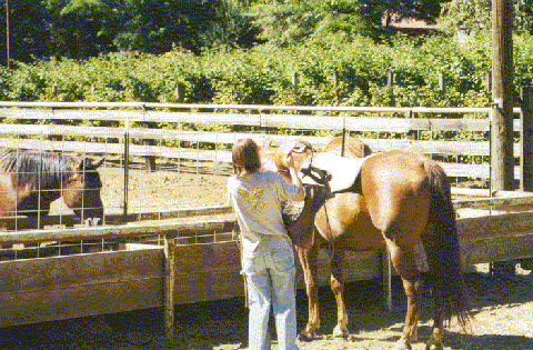 Kryn loading her saddle.gif (86958 bytes)